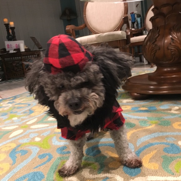 Meet your Posher, Mona - Picture 5 of 7